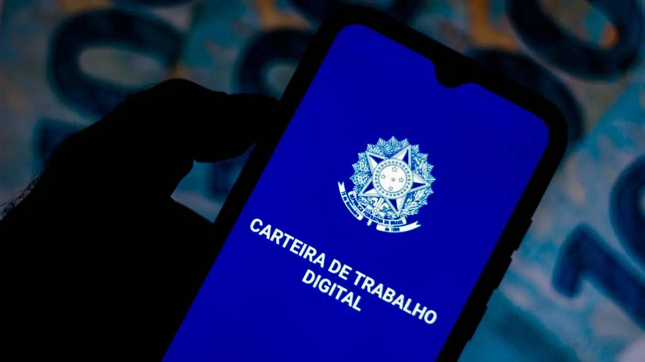 PNAD, CARTEIRA DE TRABALHO