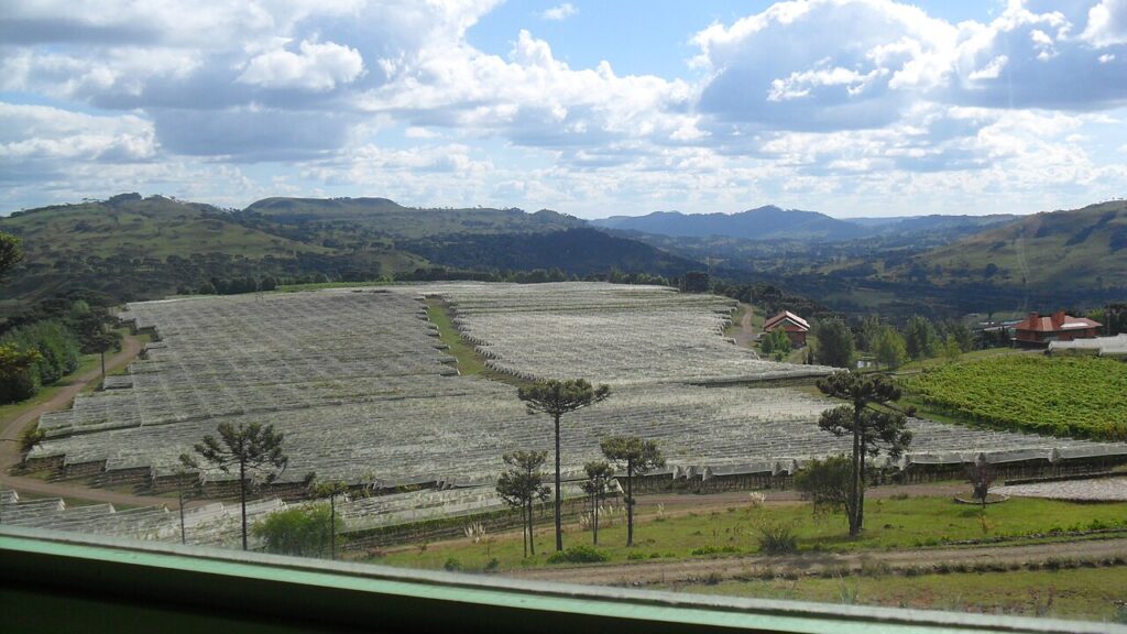 Cidade do sul em altitude elevada conhecida pelo clima frio e paisagens encantadoras