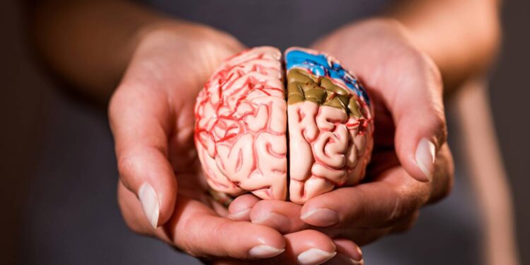 E se o cérebro fosse um computador, quanto de armazenamento ele teria?