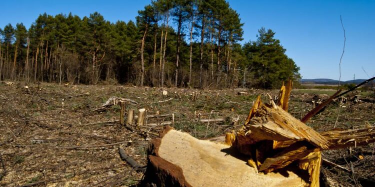 Créditos: depositphotos.com / polinikol