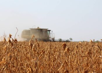 Créditos: depositphotos.com / Brasilplural