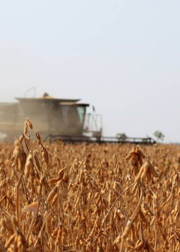 Créditos: depositphotos.com / Brasilplural