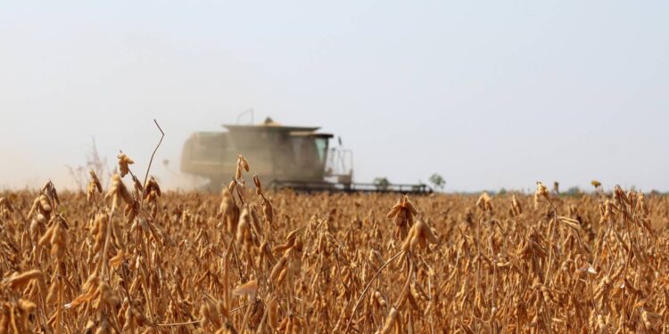 Créditos: depositphotos.com / Brasilplural