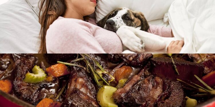 Por que a gente sente que precisa deitar após uma refeição pesada, segundo a Psicologia