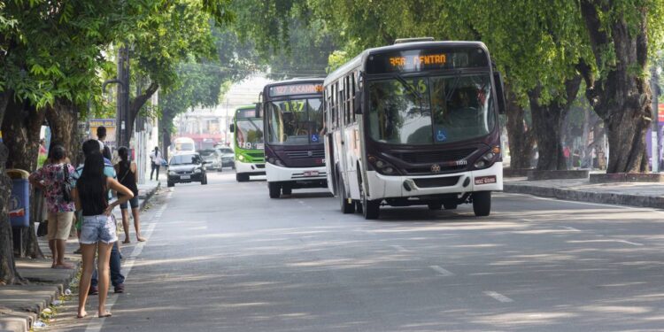 Transporte é destaque no setor de serviços.