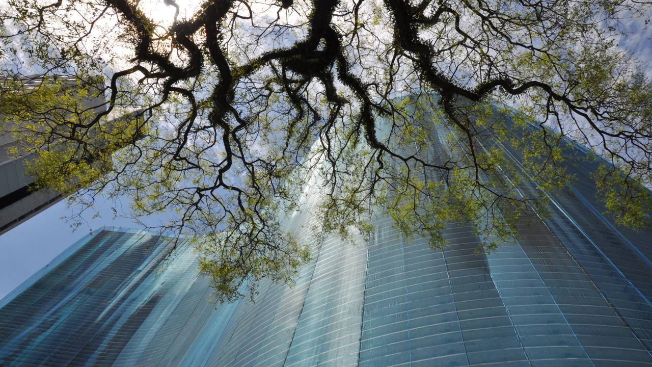 Com sua icônica forma de "S" e 1.160 apartamentos, a obra de Niemeyer virou um símbolo de São Paulo e uma cidade vertical no coração da metrópole