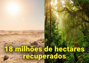 De deserto estéril a oásis verde: como uma área de 18 milhões de hectares foi revivida apenas acordando a "floresta subterrânea" que dormia no solo