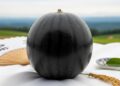 A melancia negra do Japão que pode custar mais de R$ 30 mil em leilões