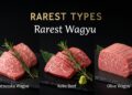 O que torna a carne de Wagyu a mais cara e macia do mundo?