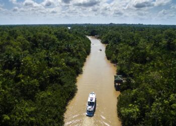 Antes de 1500, a Amazônia era mais populosa que Portugal e tinha vilas conectadas por estradas largas