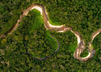 Créditos: depositphotos.com / gustavofrazao