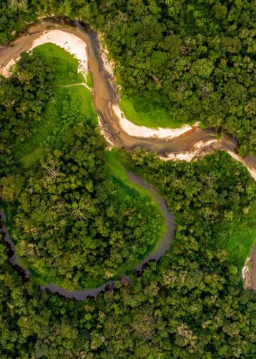 Créditos: depositphotos.com / gustavofrazao