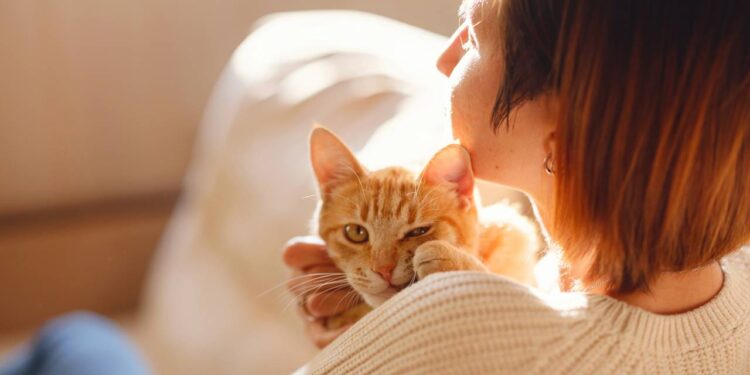 Esse barulhinho que seu gato faz pode dizer muito mais do que você imagina