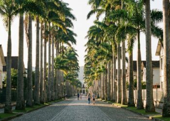 A "Cidade da Dança" é o destino ideal para quem busca turismo com alma europeia