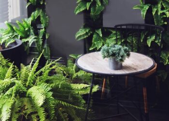 Somando o investimento inicial com os cuidados ao longo do tempo, o custo anual da samambaia continua baixo quando comparado a outras plantas ornamentais - Créditos: depositphotos.com / yanukit