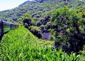 Com 41 pontes e 13 túneis de 1885, a ferrovia Curitiba-Morretes é a viagem de trem mais bonita do Brasil sobre a Mata Atlântica