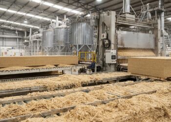 Adeus madeira? Sobra de 200 milhões de toneladas para fazer MDF de bagaço de cana na busca por “plástico verde” pode mudar o rumo da indústria de móveis e construção