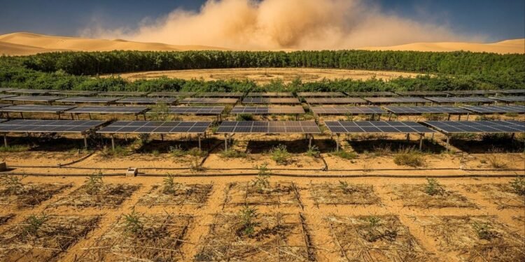 China usou 30 milhões de hectares para construir nova Grande Muralha "Verde" com objetivo de parar um deserto