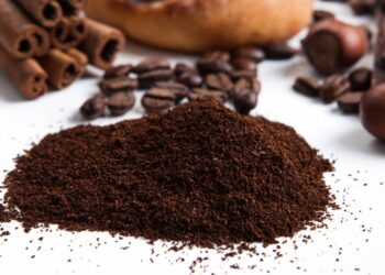 O borra de café em casa permite renovar vasos de plantas e até cuidar da estética facial sem gastar nada com produtos caros - Créditos: depositphotos.com / mizar_219842