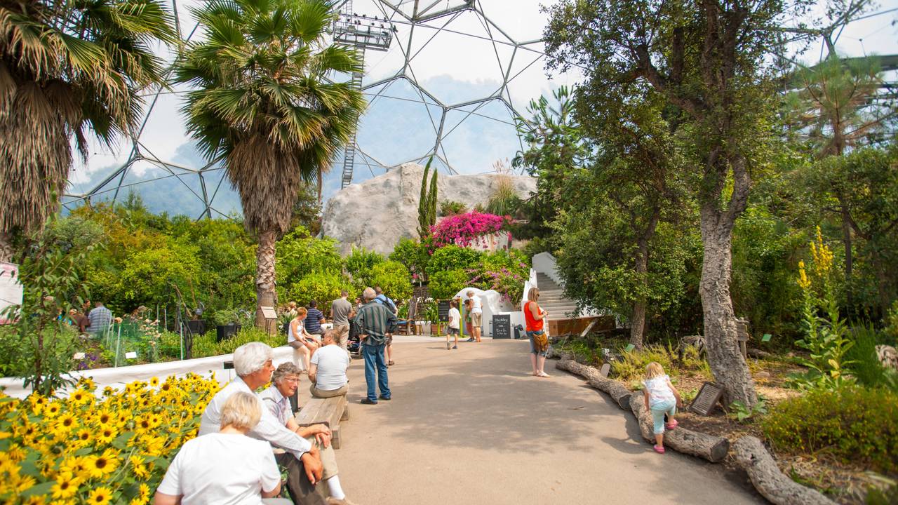Com suas icônicas bolhas geodésicas e 20 mil plantas, a estrutura virou o maior jardim botânico indoor do mundo