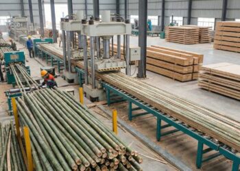 Com colheita manual e prensas que fundem as fibras: é assim que o bambu se transforma em uma madeira resistente e sustentável