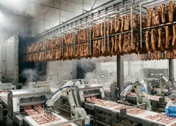 Com toneladas de barriga de porco e um lento processo de cura e defumação: é assim que o bacon é feito em escala industrial