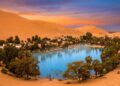 Um oásis real no meio do deserto: a lagoa cercada por dunas gigantes que parece miragem, mas existe