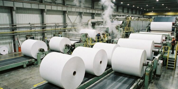 Toneladas de celulose e rolos gigantes a 100 km/h: é assim que o papel higiênico é fabricado