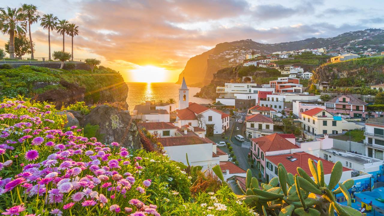 Jardim botânico na Ilha da Madeira que reúne flores exuberantes em meio ao oceano Atlântico