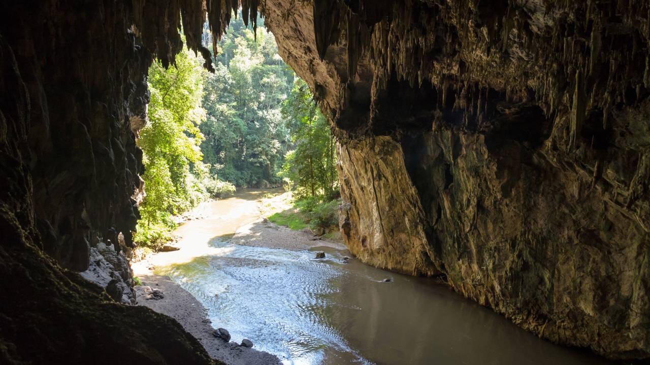 Essa é a maior caverna do mundo e guarda um ecossistema secreto com floresta, rio e clima próprio