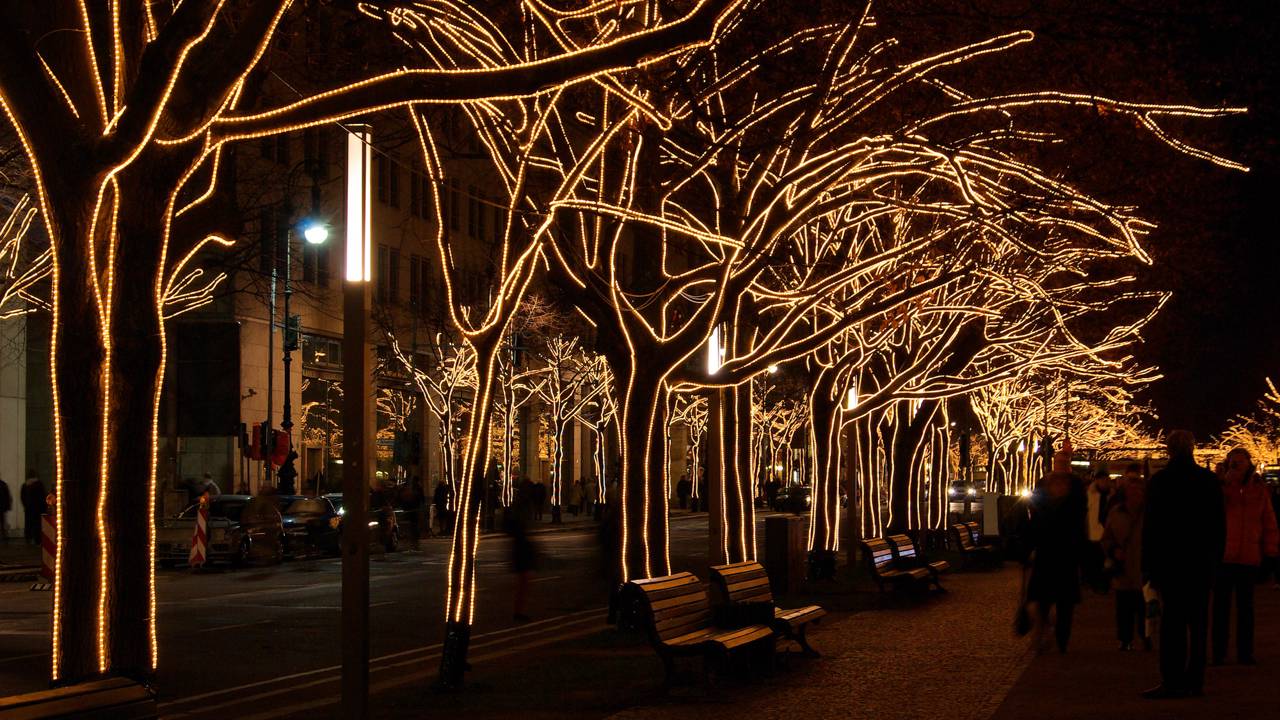 Avenida de Berlim ganha fama por seus 1,5 km de extensão, pois as tílias de 1647 formam o corredor histórico que une o Portão à Ilha dos Museus