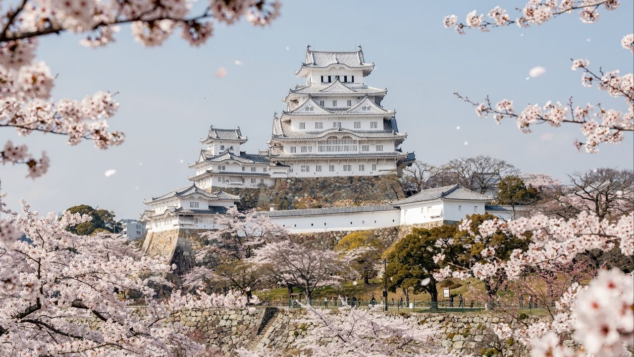 Com sua estrutura de 1333 e 83 edifícios brancos, o Castelo de Himeji virou a fortaleza mais icônica e preservada da história militar do Japão