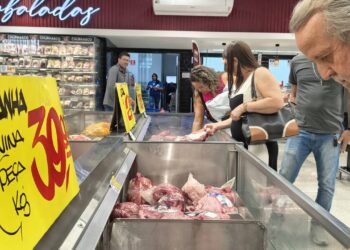 Carne brasil frigorificos