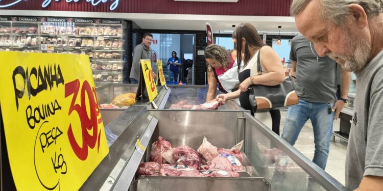 Carne brasil frigorificos