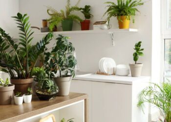 A decoração com plantas que cabe no seu bolso e transforma qualquer cantinho da casa com pouco investimento
