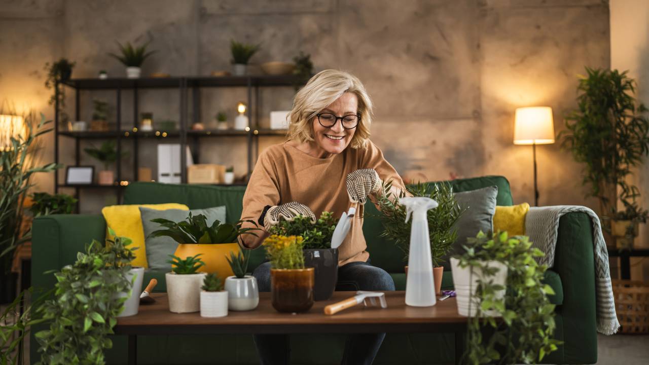 A decoração com plantas que cabe no seu bolso e transforma qualquer cantinho da casa com pouco investimento