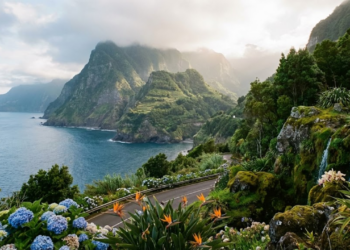 Jardim botânico na Ilha da Madeira que reúne flores exuberantes em meio ao oceano Atlântico