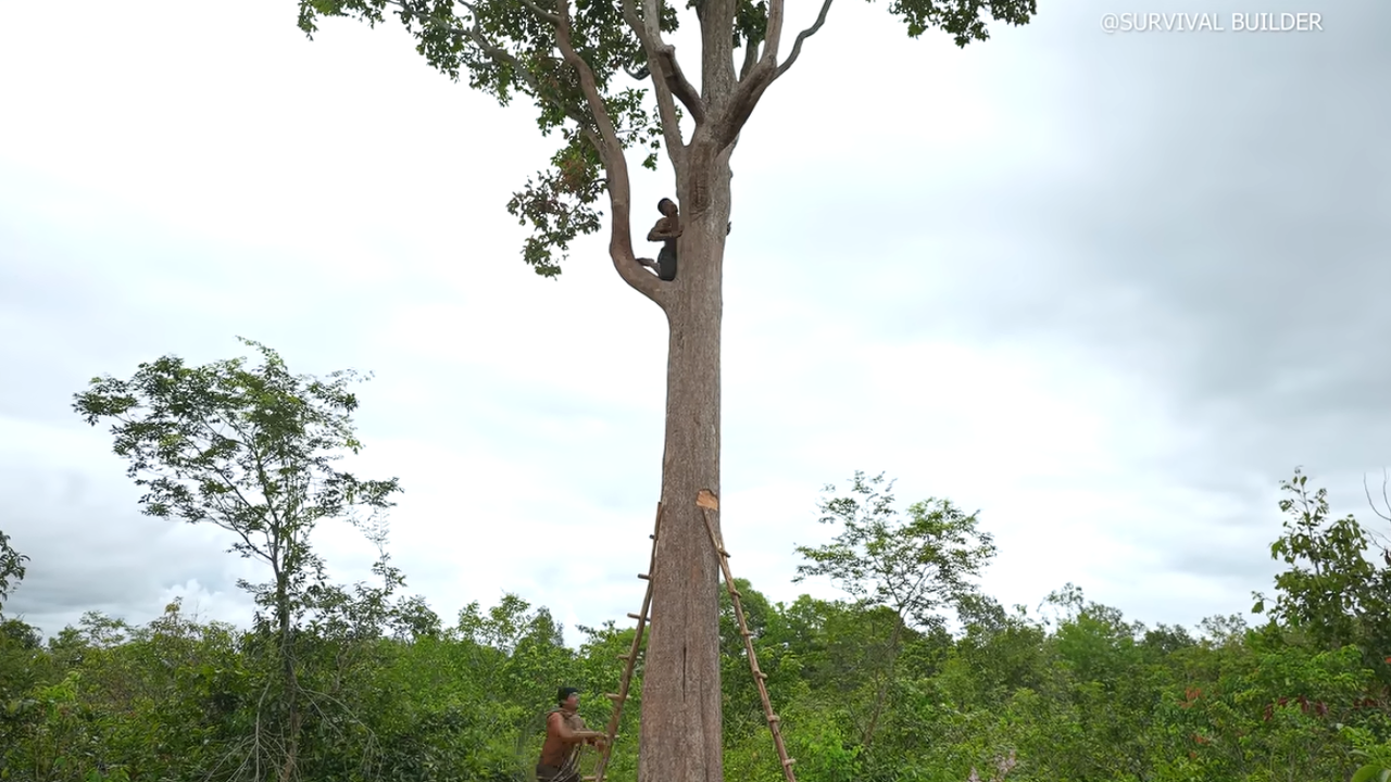 Em 69 dias e no meio da floresta, esses 2 homens construíram uma linda e confortavel casa na arvore com uma piscina funcional