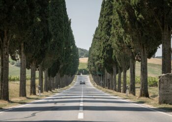 Estrada na Itália ganha fama por seus 2.400 ciprestes, pois o trajeto de 5 km de 1831 virou o maior cartão-postal da paisagem toscana em Bolgheri