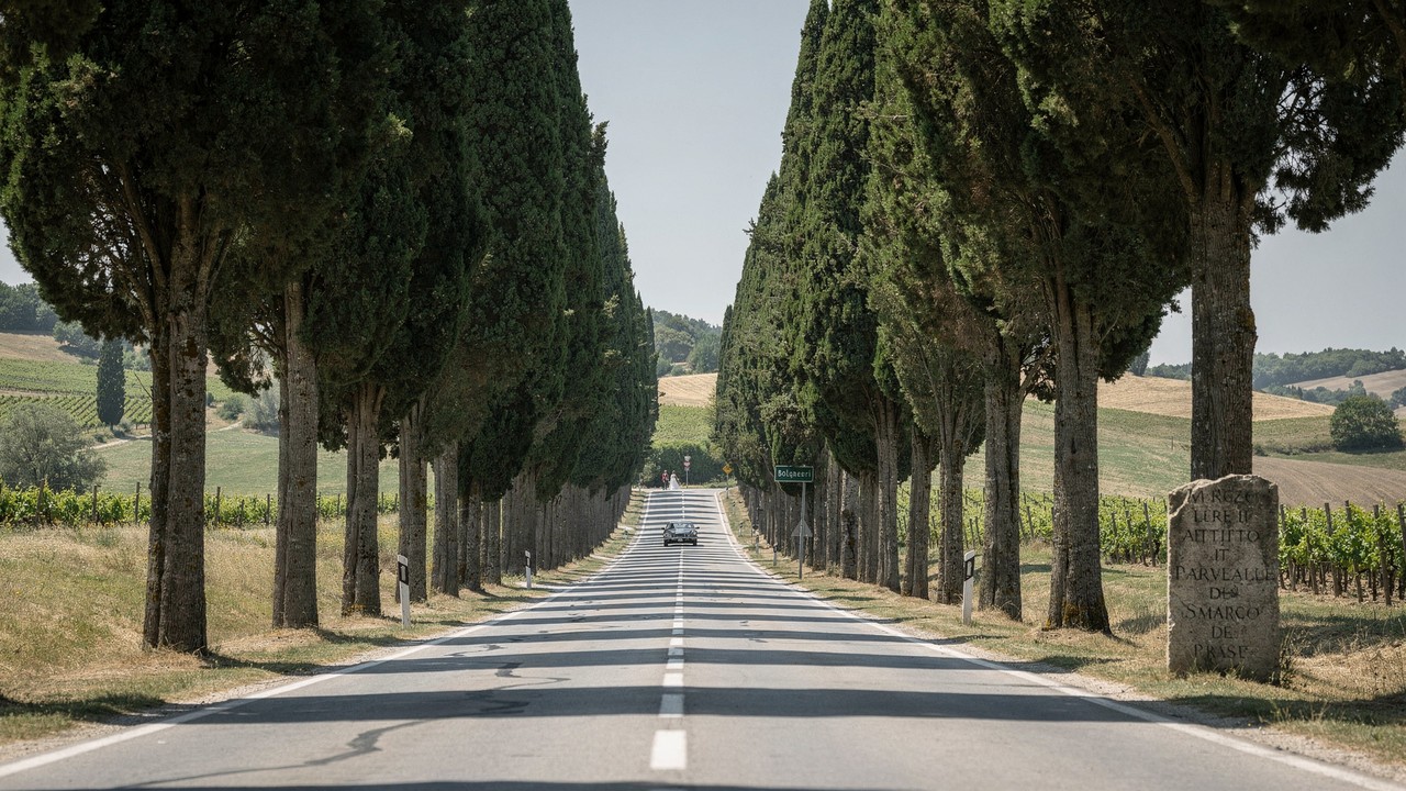 Estrada na Itália ganha fama por seus 2.400 ciprestes, pois o trajeto de 5 km de 1831 virou o maior cartão-postal da paisagem toscana em Bolgheri