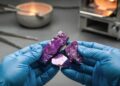 Com a união de ouro e alumínio sob calor extremo, especialistas criam o ouro roxo, a liga metálica que desafia a cor tradicional da joalheria