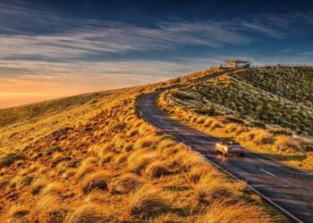 Estrada na Nova Zelândia ganha fama por suas colinas douradas, pois o trajeto a 971 m de altitude atravessa o maior campo de gramíneas do país