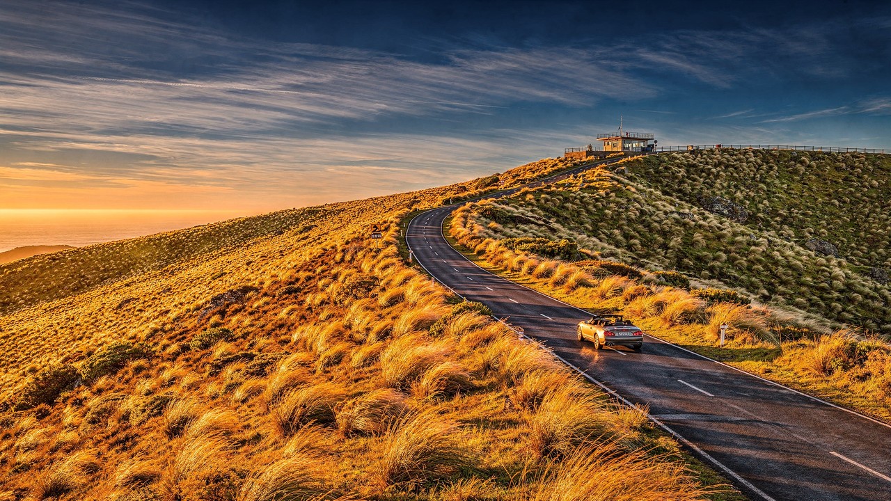Estrada na Nova Zelândia ganha fama por suas colinas douradas, pois o trajeto a 971 m de altitude atravessa o maior campo de gramíneas do país