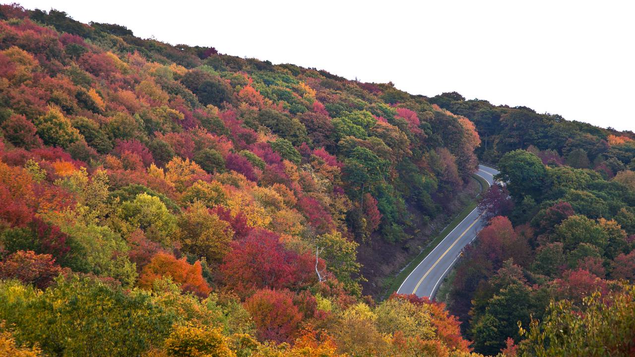 Rodovia nos EUA ganha fama por seu custo de US$ 100 milhões, pois seus 69 km sobem a 1.643 m, sendo o trajeto mais cênico dos Apalaches