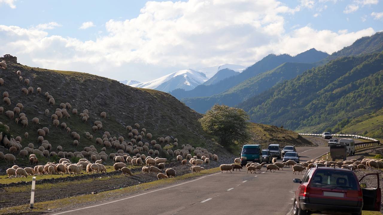 Rodovia na Geórgia ganha fama por seus 212 km de extensão, pois o trajeto de 1799 cruza o Cáucaso a 2.379 m, sendo a rota mais histórica da região