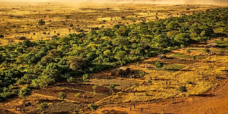 Visível do espaço e três vezes maior que a Grande Barreira de Coral, a muralha de árvores de 8 mil quilômetros está sendo plantada em 11 países para travar o avanço do deserto