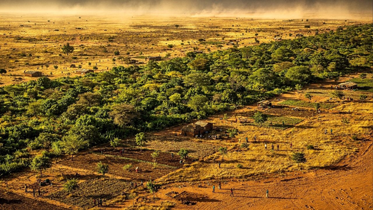 Visível do espaço e três vezes maior que a Grande Barreira de Coral, a muralha de árvores de 8 mil quilômetros está sendo plantada em 11 países para travar o avanço do deserto