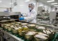 Cozidas a 120 graus dentro da própria lata e seladas em óleo ou molho, as sardinhas ganham validade de anos através de um processo industrial
