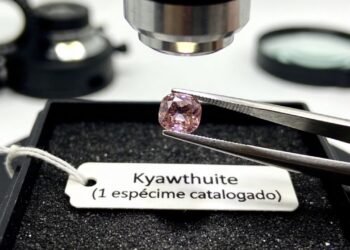 Ela permaneceu escondida por décadas até ser identificada como a gema mais rara do planeta, com apenas dois exemplares conhecidos no início