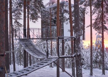 No meio da floresta sueca, essas cabanas suspensas escondem uma experiência que vai muito além da hospedagem tradicional